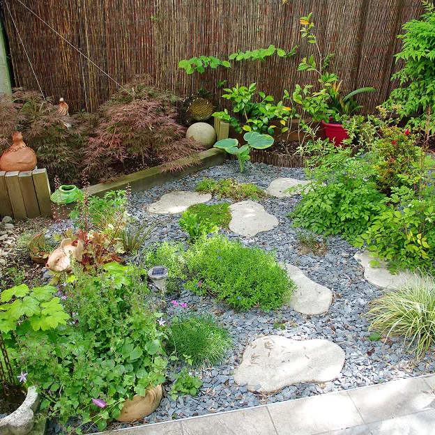 Jardin zen avec pierres plates et plantes variées pour extérieur décoratif