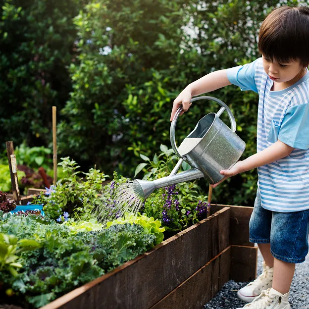 Enfant arrosant des plantes dans un jardin potager bien entretenu